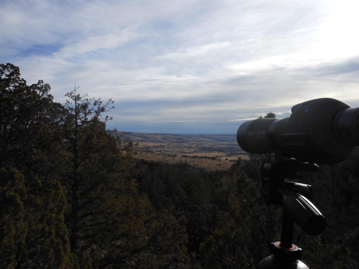 Idaho hunt 12 010