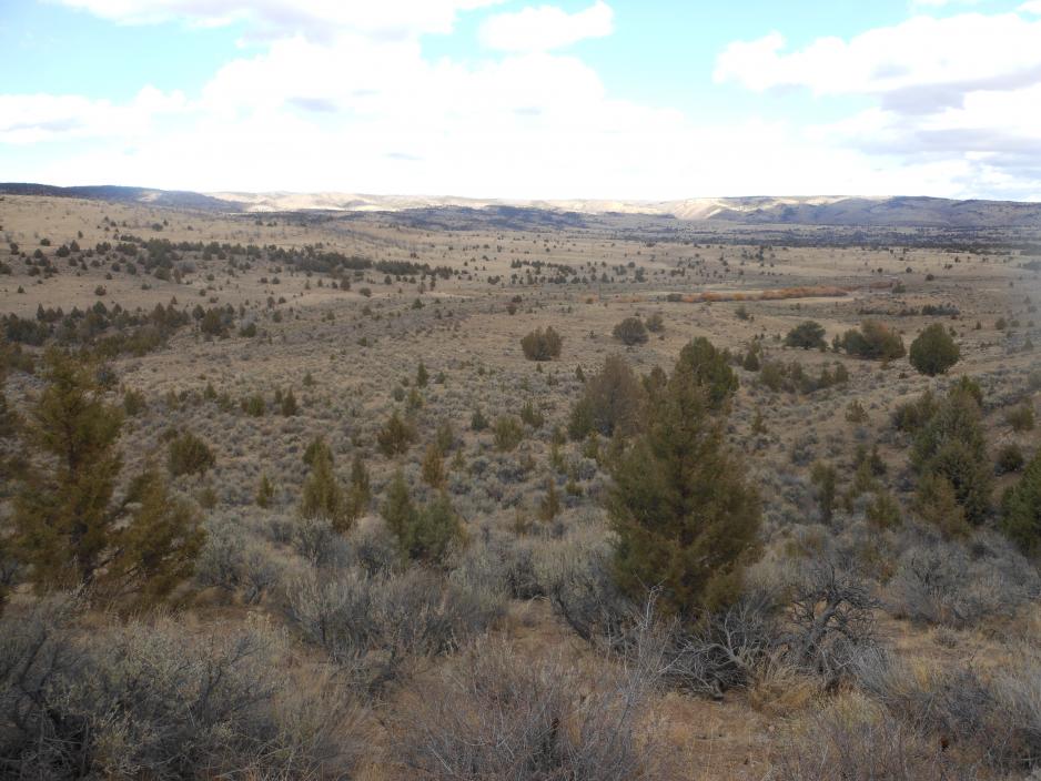 Idaho hunt 12 020