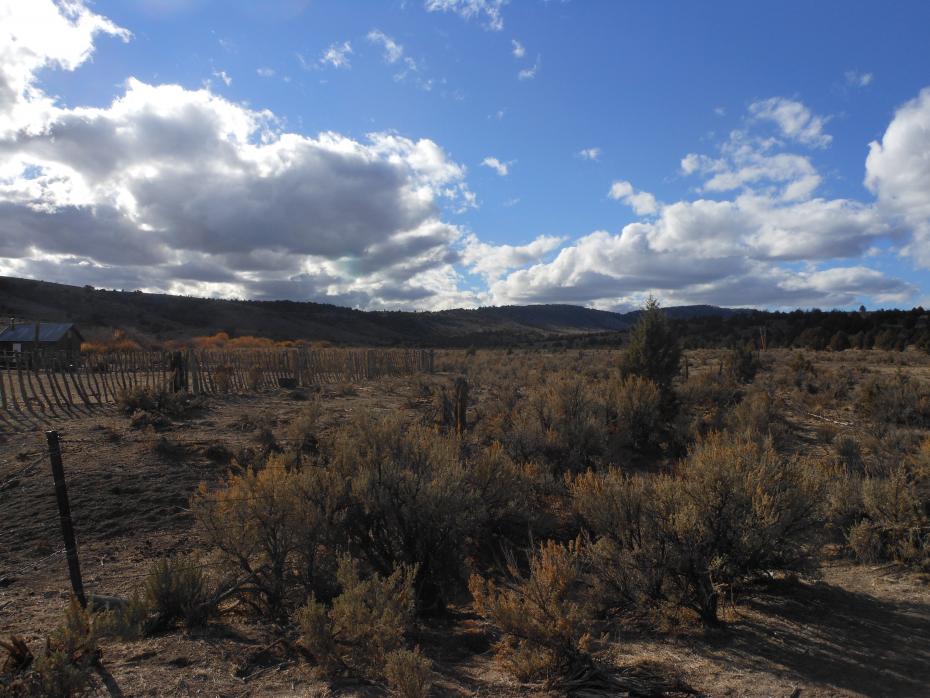 Idaho hunt 12 042