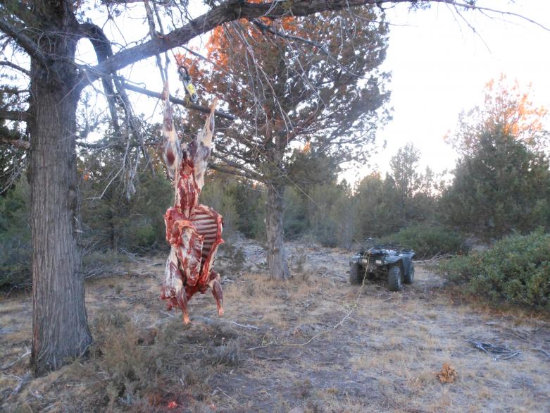 Idaho hunt 12 056