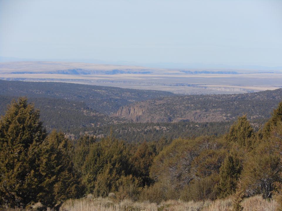 Idaho hunt 12 068