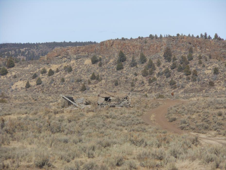 Idaho hunt 12 079