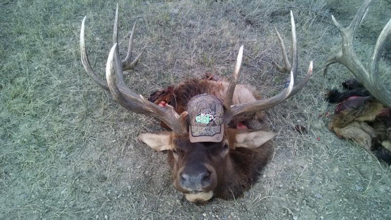 IMG 20151024 155106965