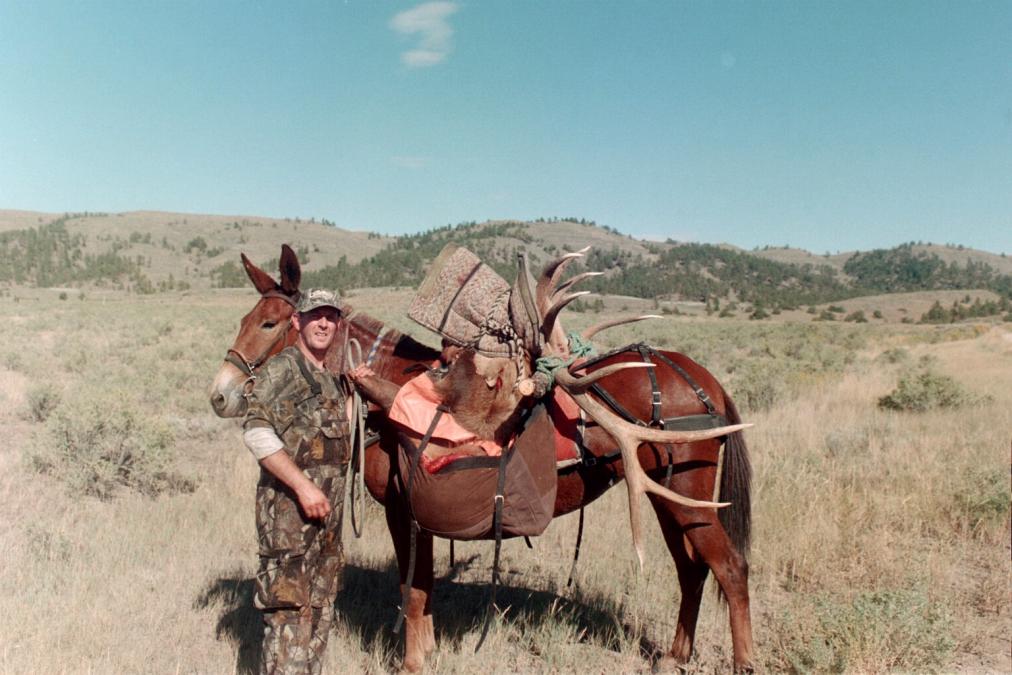 IMG015