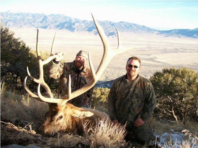 Jeffs Elk