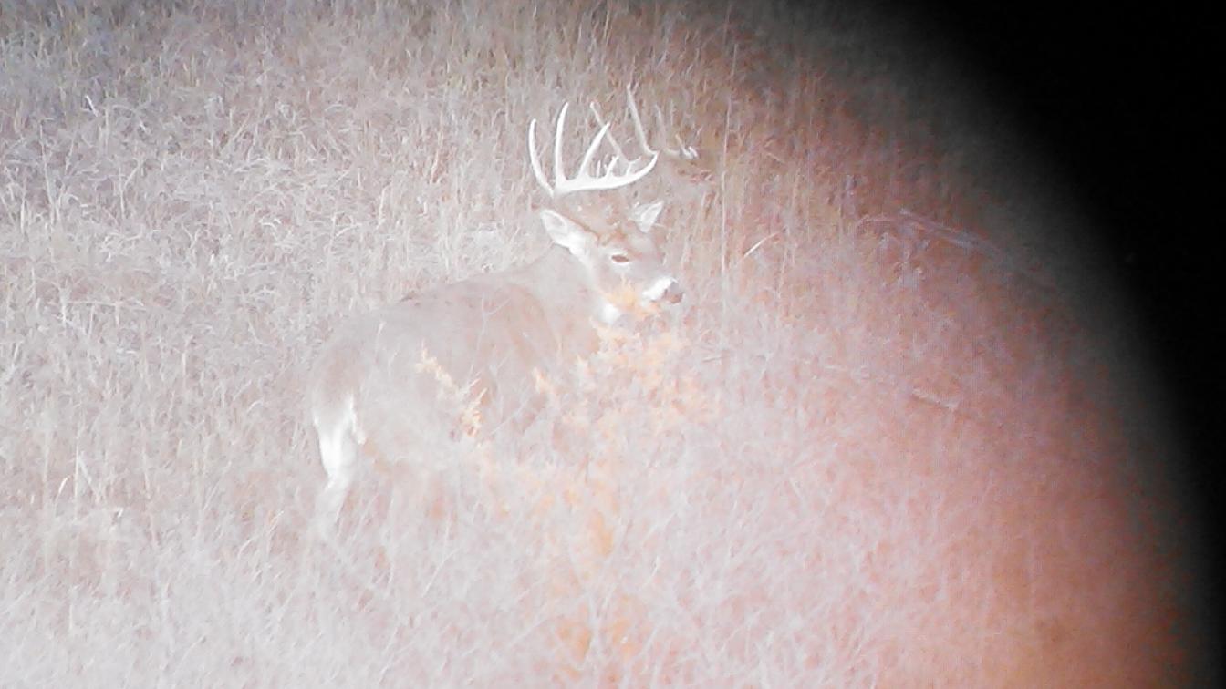 Kansas public land 2014 buck (score 201 3/4&quot;)