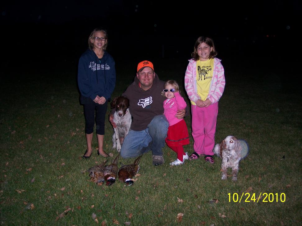 Kids, Dogs and Roosters