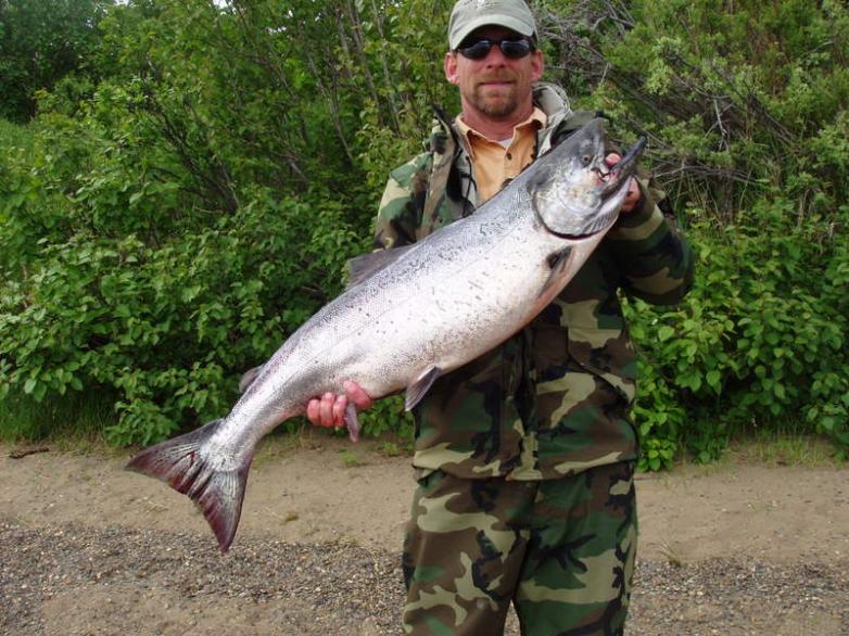 King Salmon Alaska 28LB