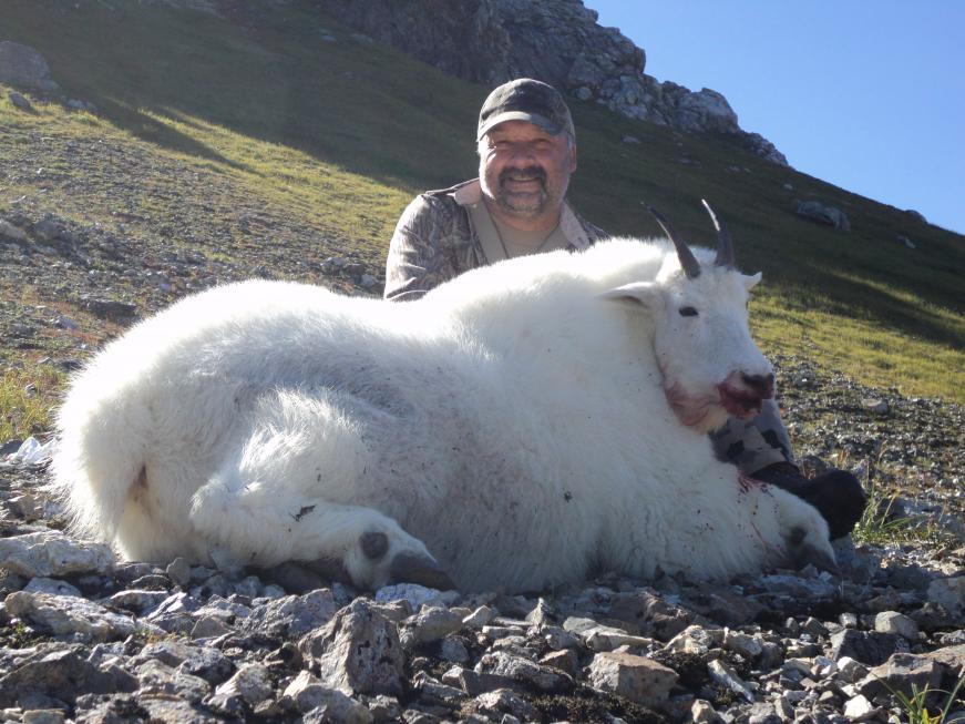 Kodiak, AK 2014 (Mountain Goat)