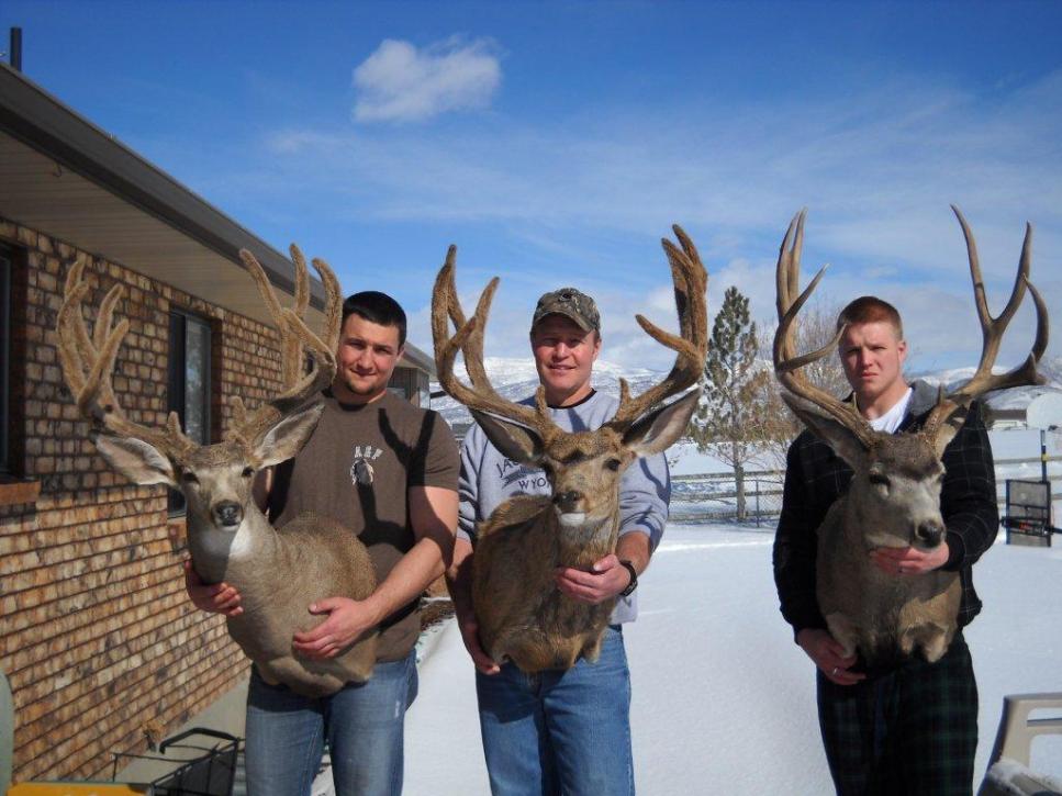 marchant bucks