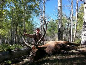 Matthew and my 2013 bull