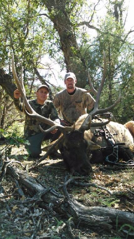 Matt's 2014 New Mexico bull