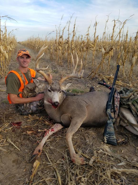 Matt's 2017 muzzy buck