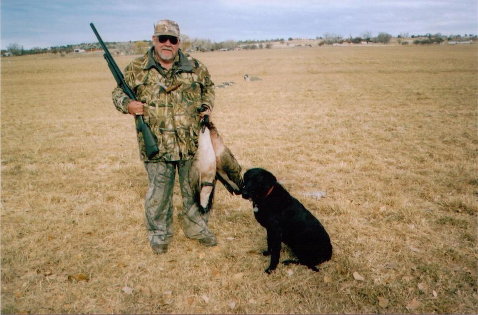 mOLLY &amp; GEESE ii