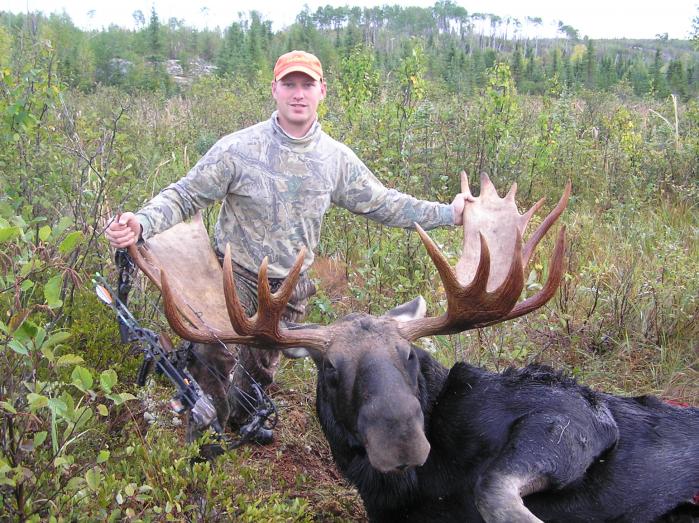 moose&amp;bow3edited