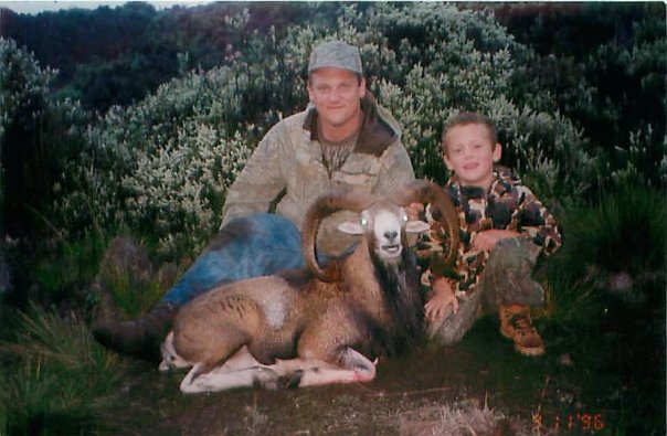 Mouflon Sheep (Big Island Hawaii 1996)