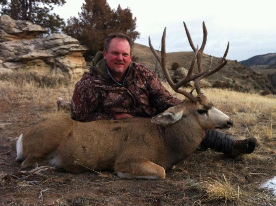 Mule Deer (Colorado 2011)