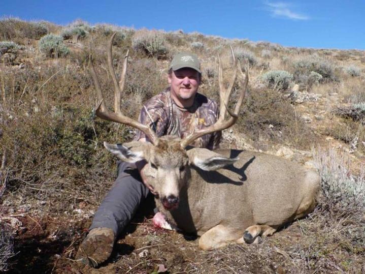 Mule Deer (Wyoming 2011)