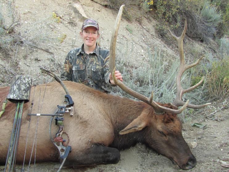 My 2011 Archery Bull Elk