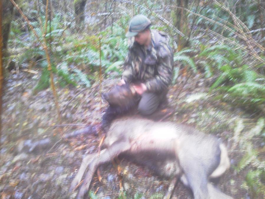 My 2012 archery elk