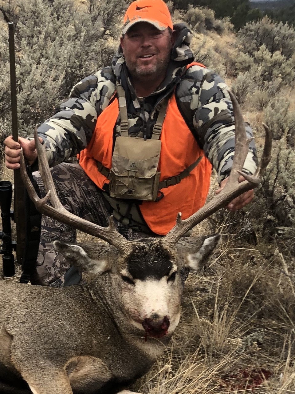 My buck 4.jpg
