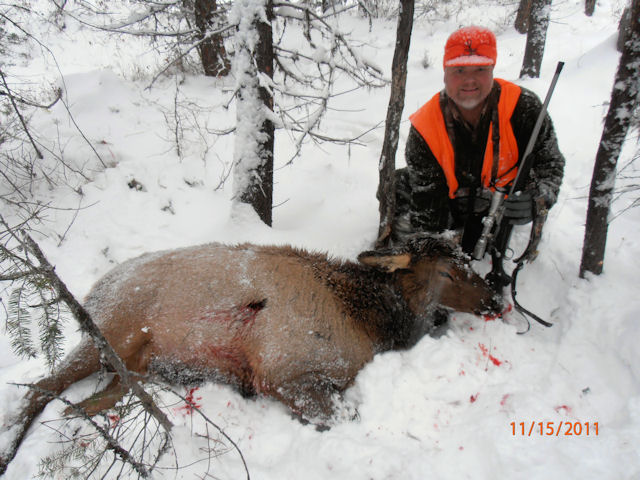 My Elk 2011 #2