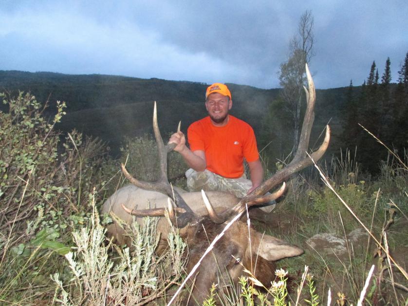 My First Bull Elk