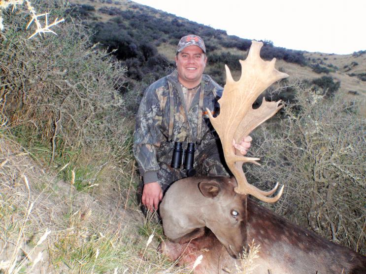 Nice Chocolate Buck.
