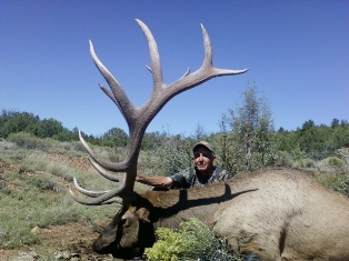 nice elk