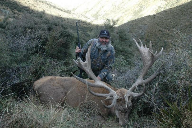 Nice high country bush Stag.