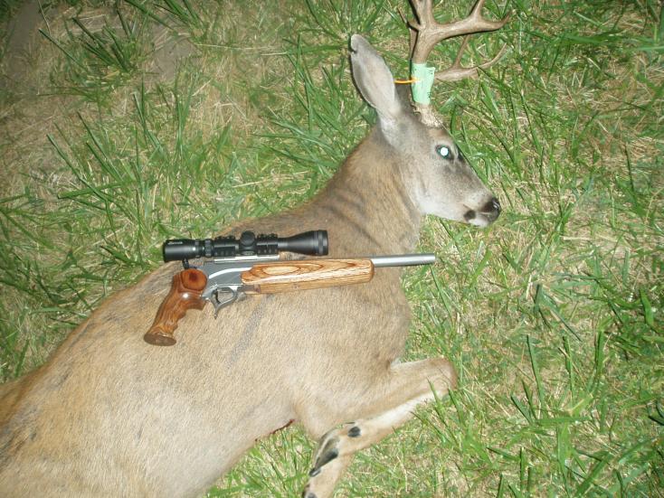 Non Typical with 25 06 Encore