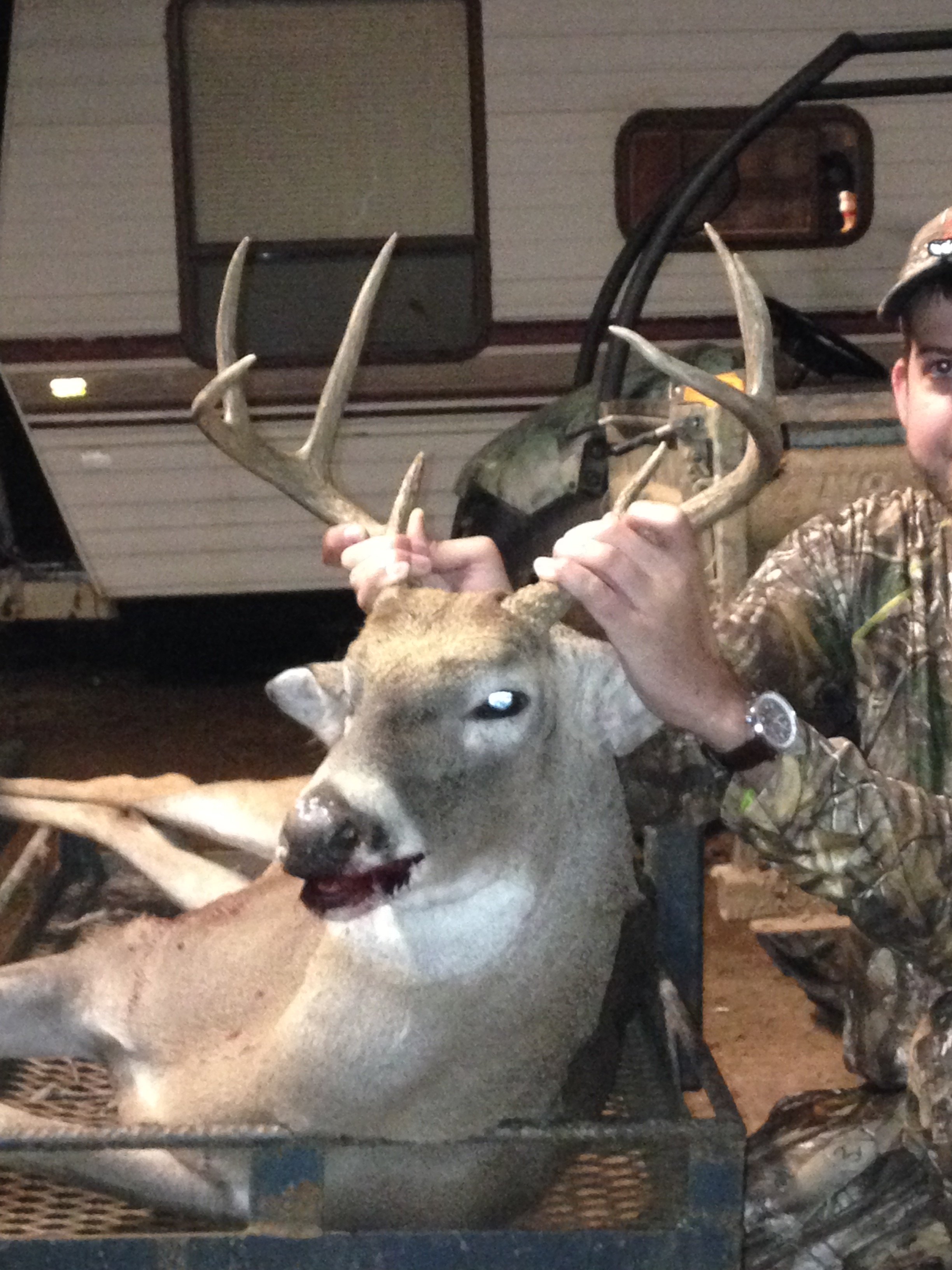 North Texas Whitetail