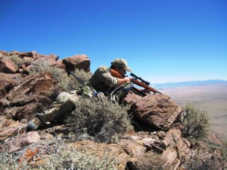 Northern NV Chase!