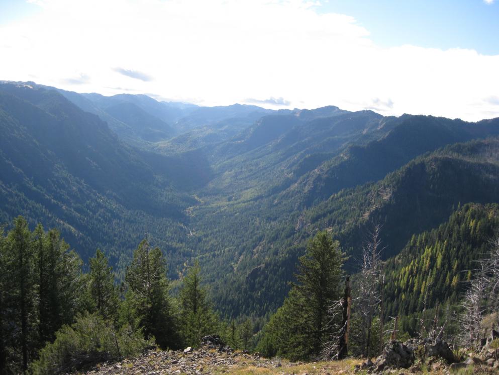oregon 10
