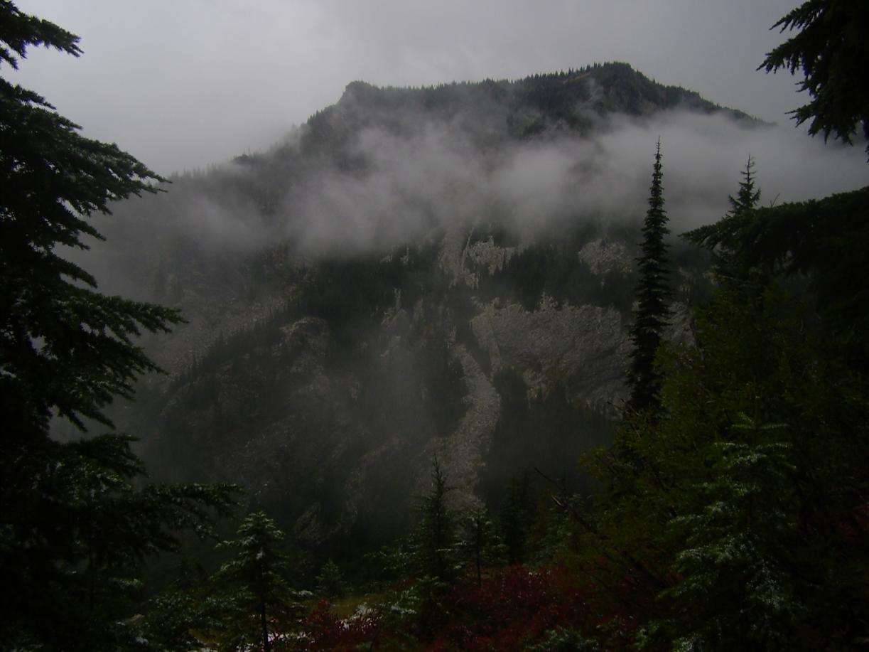 P9050204