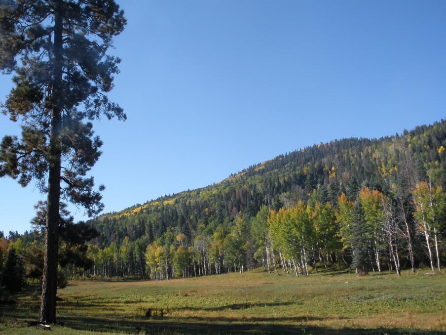 P9290168