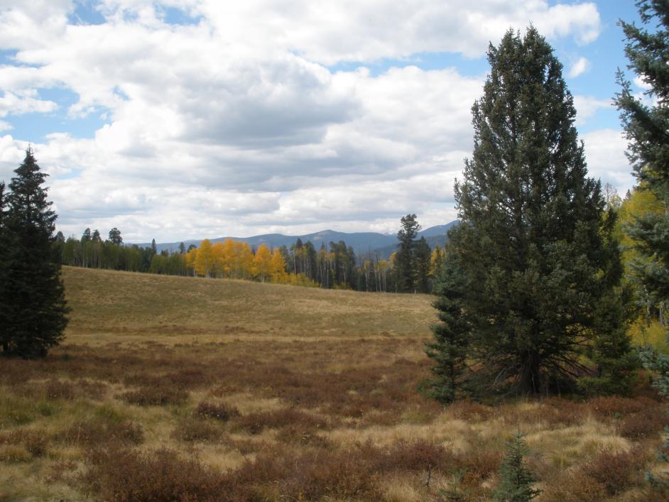 P9290185