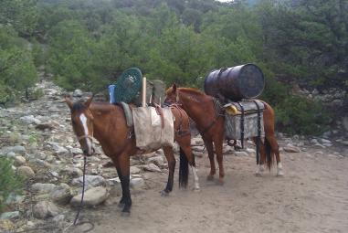 Packing in my hunting camp. I rat hole some of my gear in the barrel before season.
