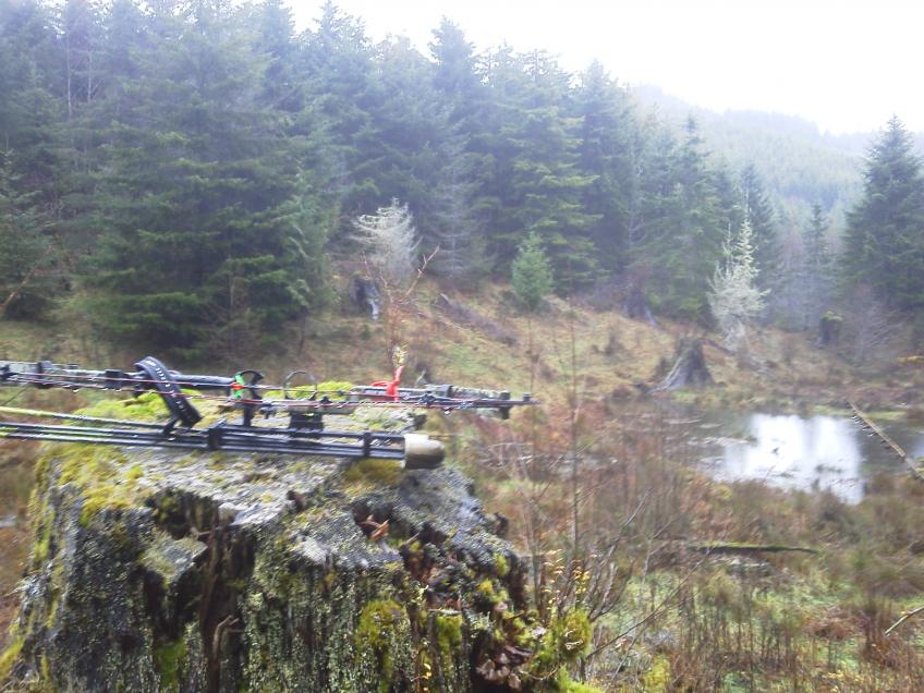Picnic spot