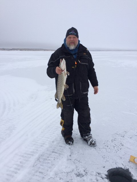 Pike #1web