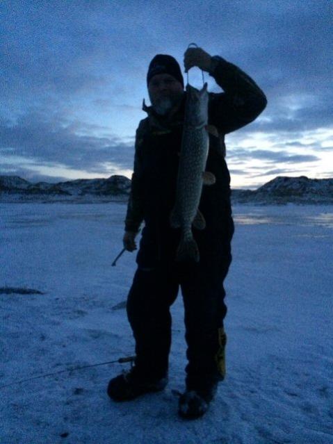 Pike #6web