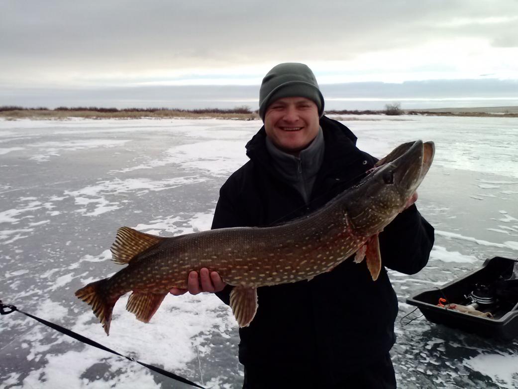 Pike