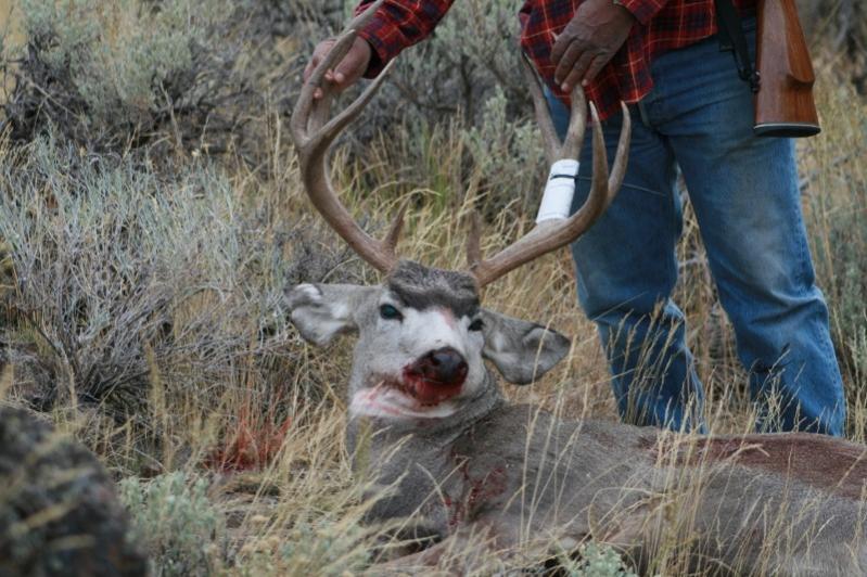 Pop's Nevada 2011 Rifle