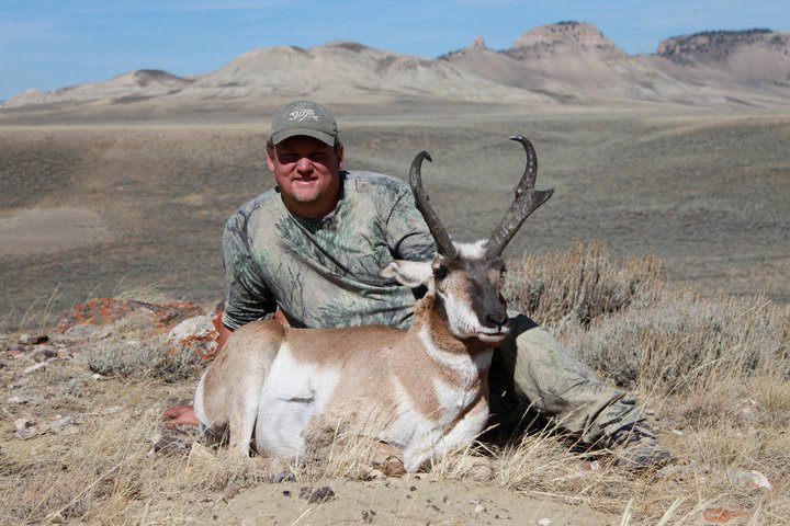 Pronghorn Antelope (Wyoming 2010)