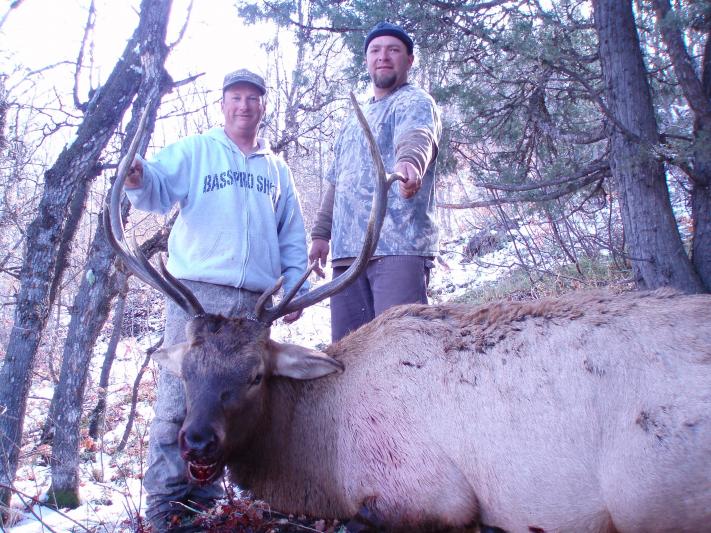 Randys Idaho Elk