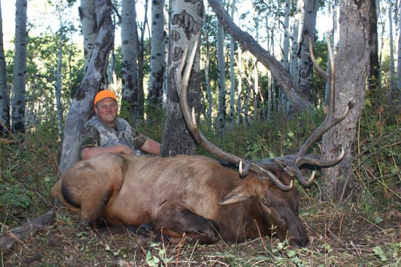Rocky Mountain Elk - Muzzleloader (Colorado 2014)