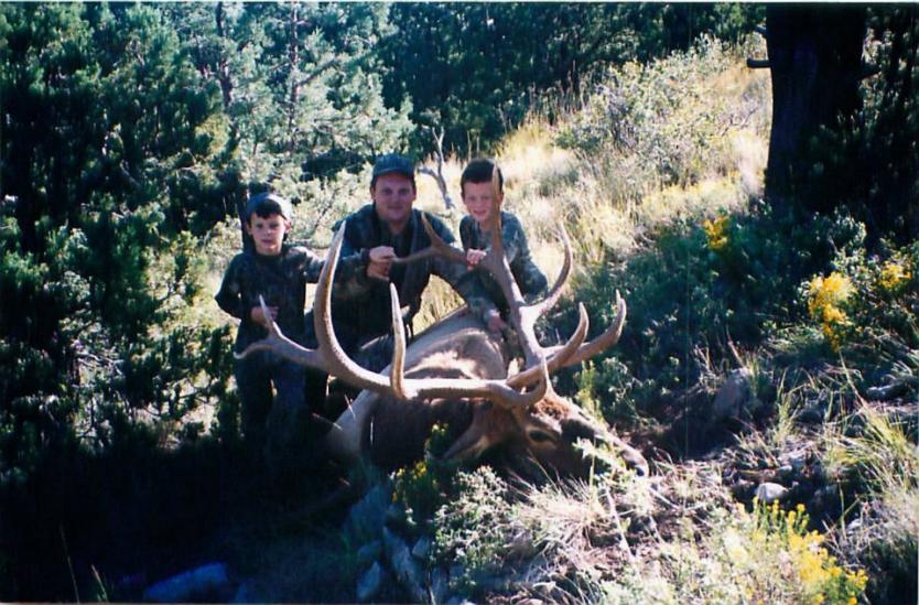 Rocky Mountain Elk (New Mexico 1998)