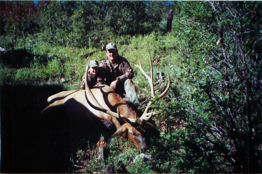Rocky Mountain Elk (New Mexico 2000)