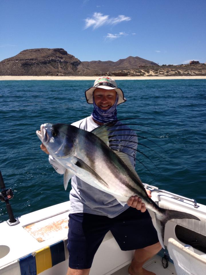Roosterfish1