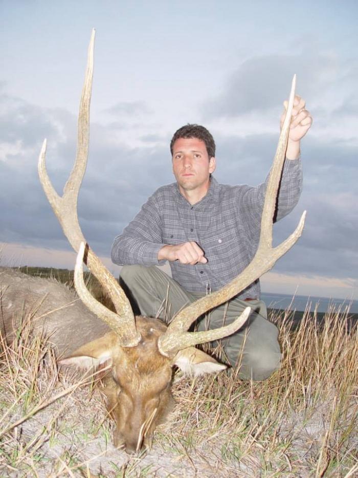 Rusa Stag. This one was shot in Australia with us. We guide from July onwards for the rut.